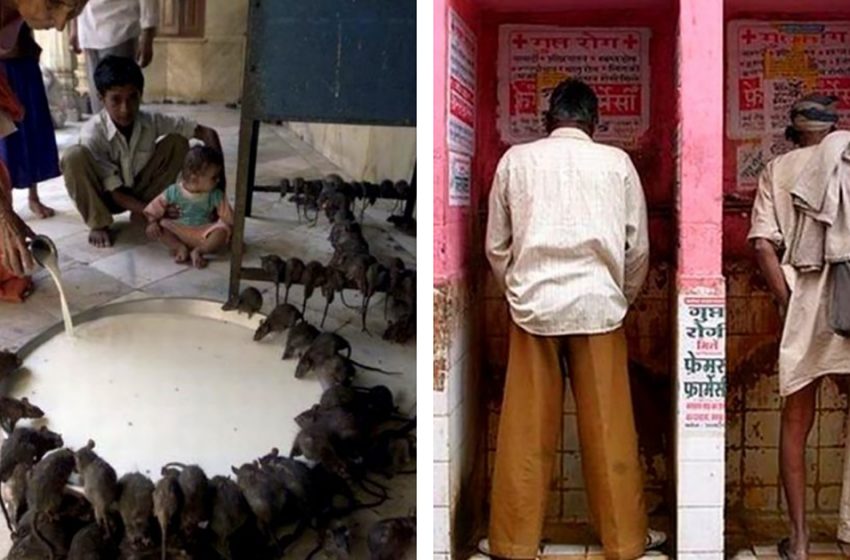  «Больно смотреть»: 10 реальных фотографий о жизни в современной Индии
