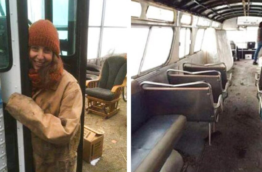  Женщина превратила автобус 1966 года выпуска в комфортабельный и уютный дом на колесах: как он выглядит