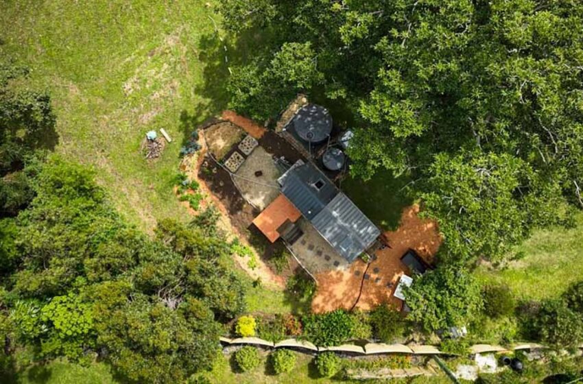  «У нее было всего три тысячи долларов»: Женщина построила невероятно красивый крошечный дом