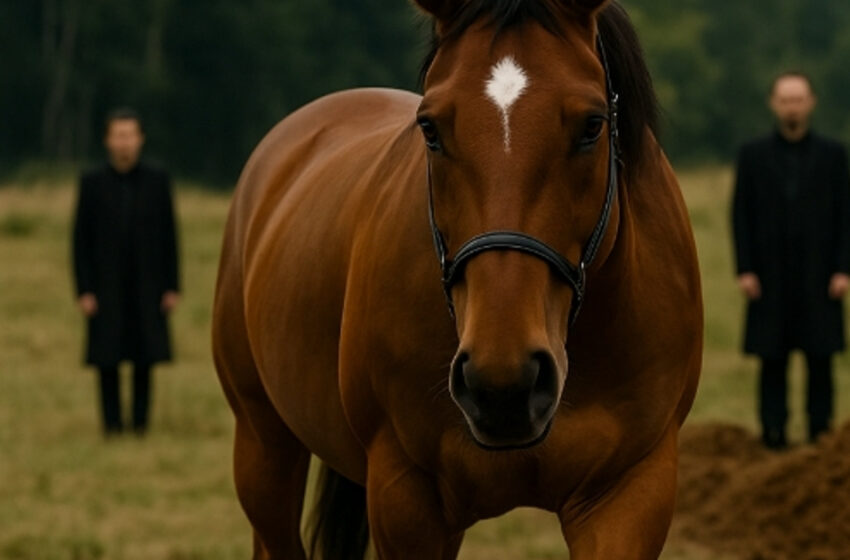  Во время похорон лошадь выбежала из леса и остановилась у гроба. Никто не ожидал, зачем она пришла