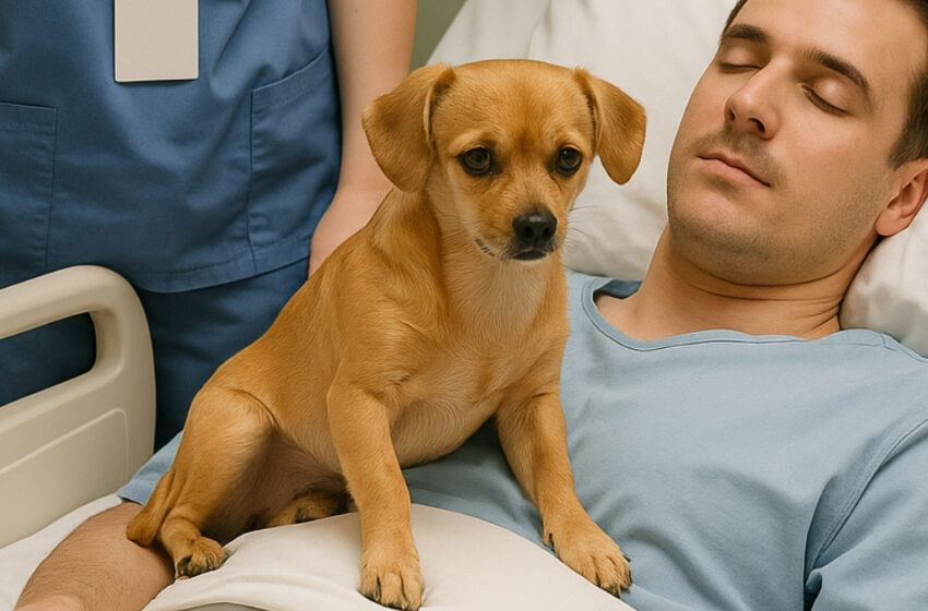  Врачи приняли решение отключить молодого офицера от аппаратов жизнеобеспечения. Прощающаяся с ним собака совершила чудо, в которое сложно поверить