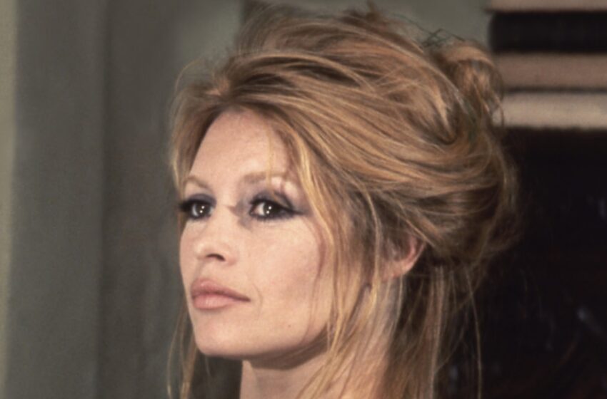  В 91 год перенесла тяжёлую операцию: Брижит Бардо внезапно оказалась на больничной койке