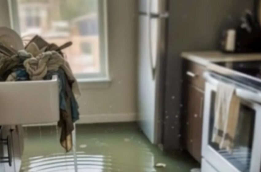  Моя беременная невестка затопила наш дом из мести. Тогда она еще не догадывалась, что мы приготовили ей сюрприз, которого она не ожидала